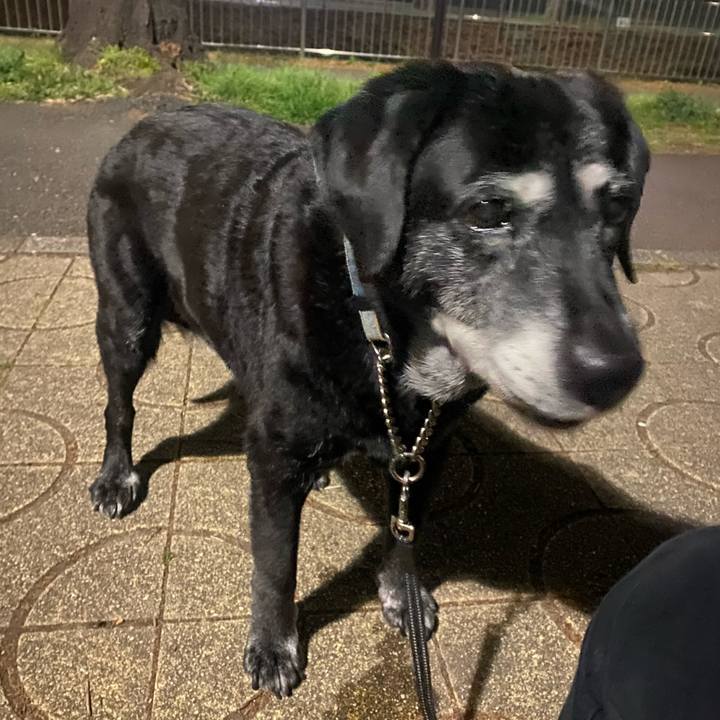 6c113a15 4b17 46f7 a6ed 53774d2b626f 1742906948257