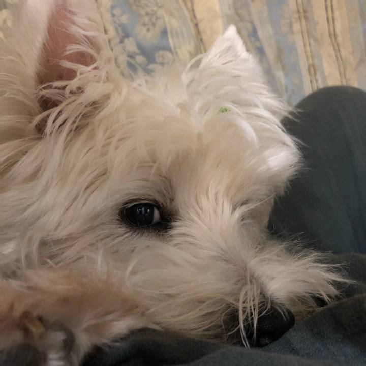 6c116133 fc32 4c6d 8e41 b7a738361282 1539694007978