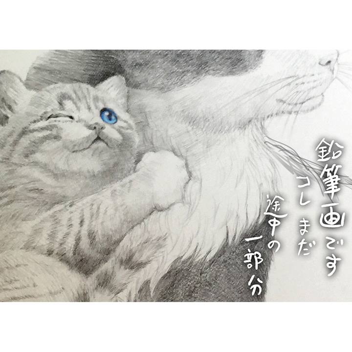 6c1177d7 c251 4d24 a2be 25943632c977 1521260469323