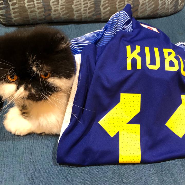 6c119268 e249 4ae0 993e 20e7e9e009ed 1669542233380