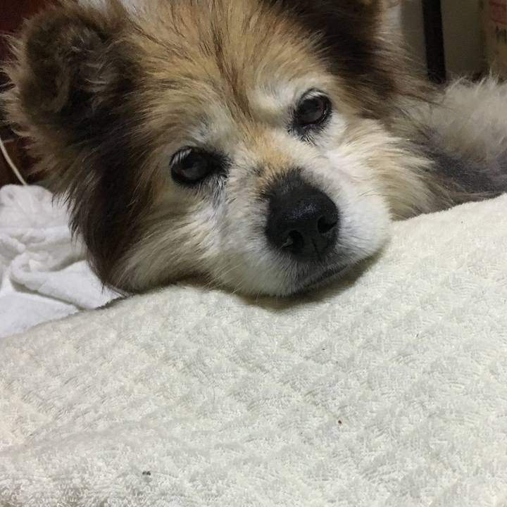 6c11af4d c9f4 4c6a 9e3c 24701ac81467 1614654779683