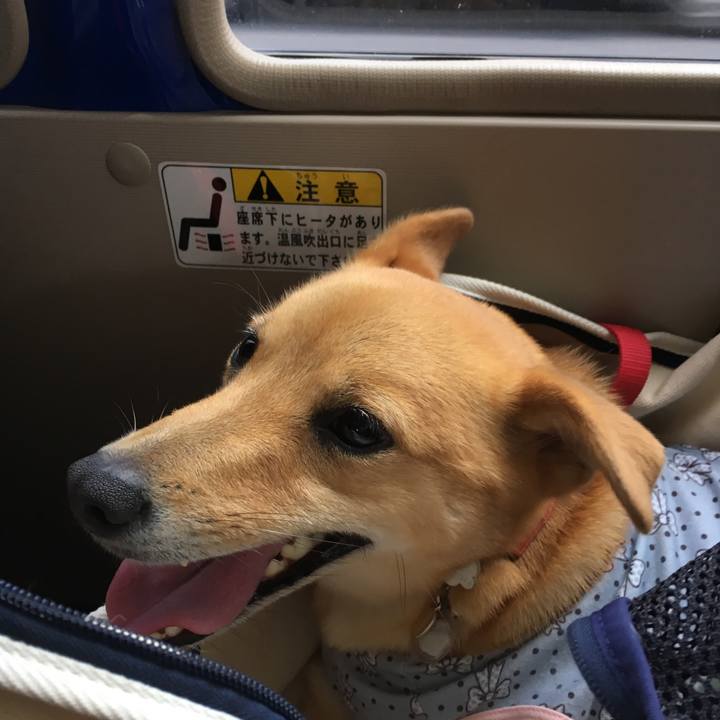 6c11d715 b6ed 408d b948 639d6c2b6a84 1532508902990