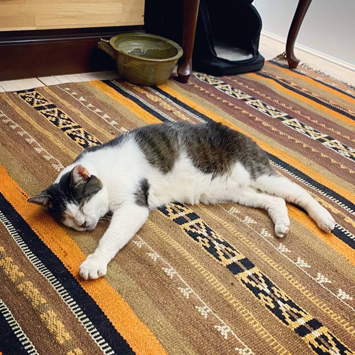 6c11ebdc ea73 4878 9502 df2176a33b62 1597232970118