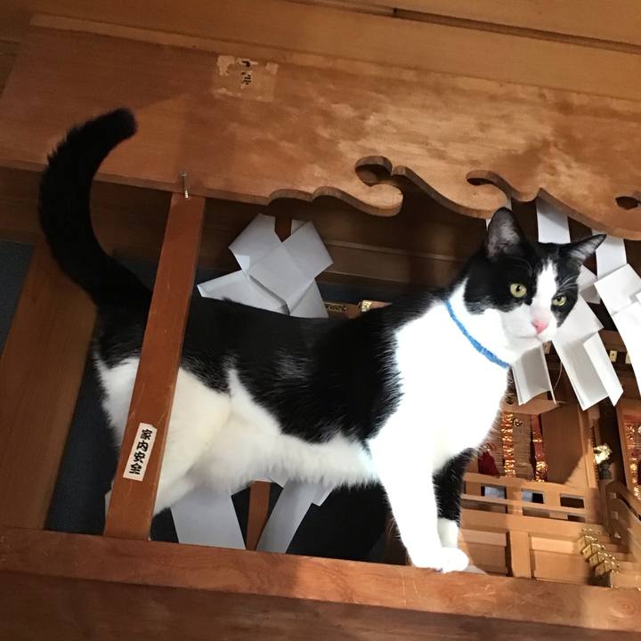 6c11edd2 ed3c 47b3 b137 c69391aa016e 1704528316529