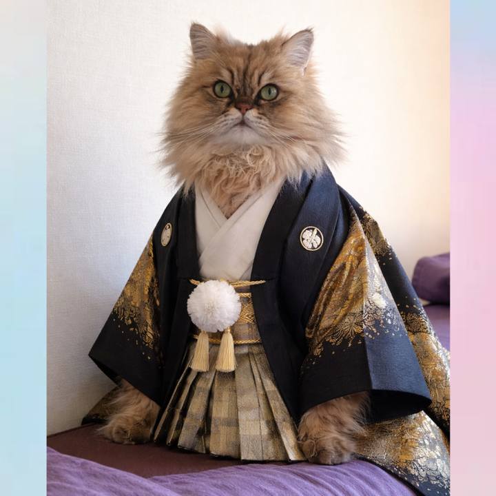 6c11ef87 3cf0 4233 826c 1ab62b71925f 1768179177674