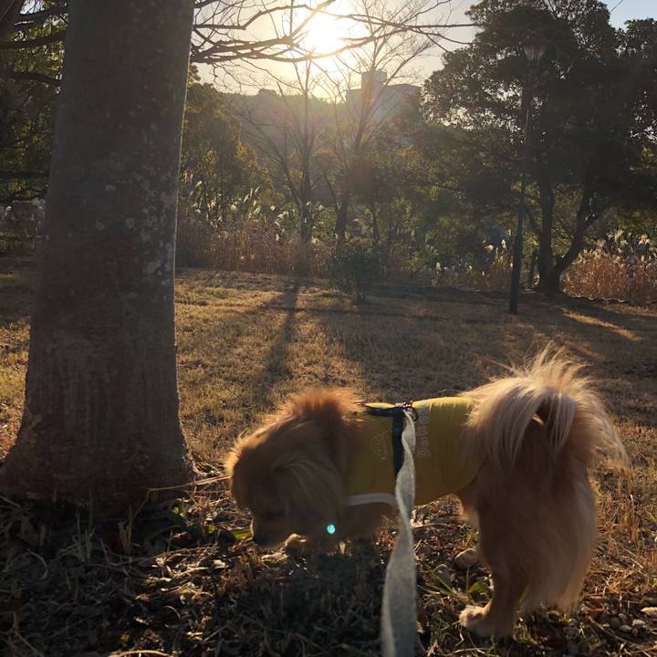 6c125857 7d21 4137 9513 16bc5623ffd7 1514593006144