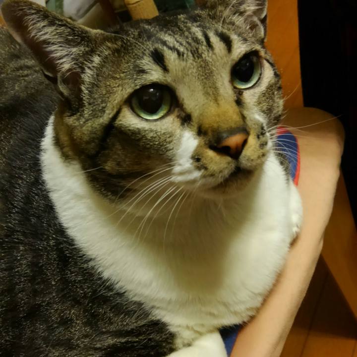 6c12685f 319a 42d3 8f66 d7efd45d3c82 1513339463870