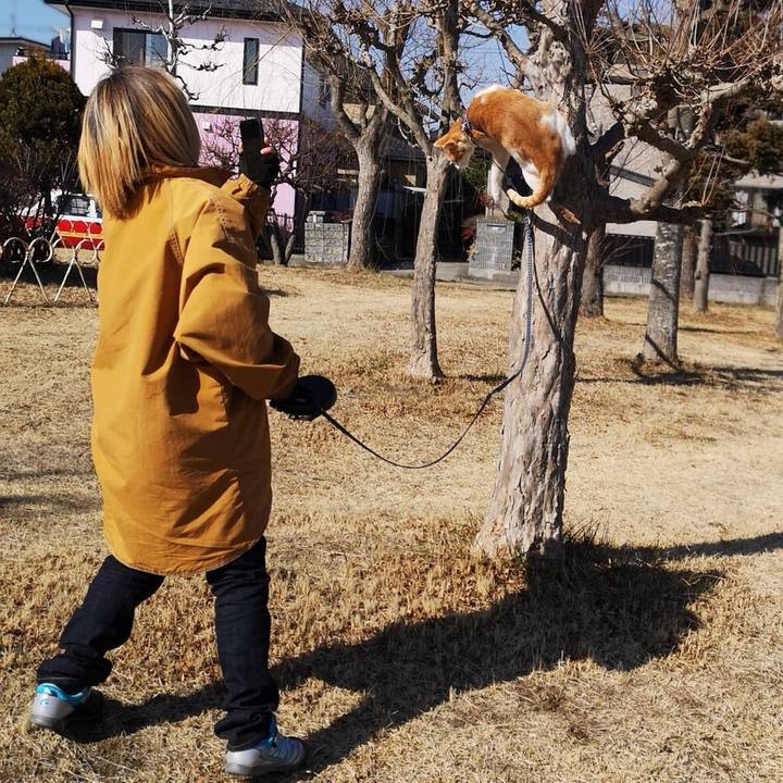 6c12ef00 fdef 4b56 ad89 402db011528e 1550989548778