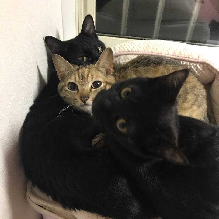 6c131dda 3a0d 45e3 bb7b 279c3780c79d 1550665890713