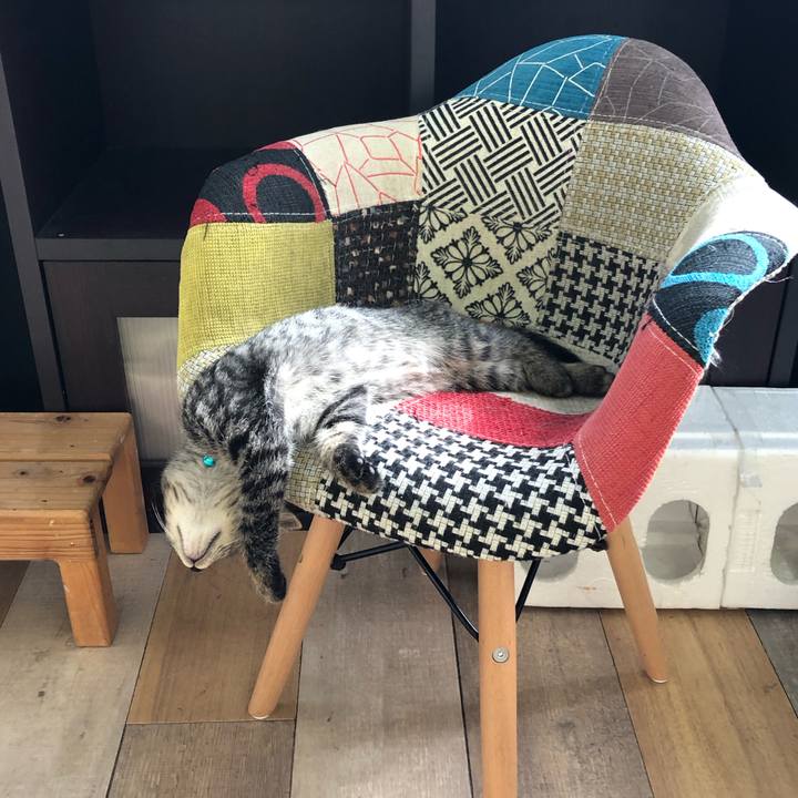 6c132304 10ac 43bf abcf 9e7e771b6986 1603085332342