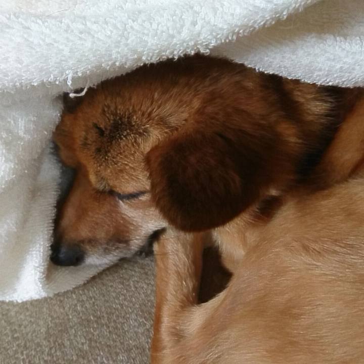 6c132d0a 2140 425f be13 83e58ade8ddc 1534678089698