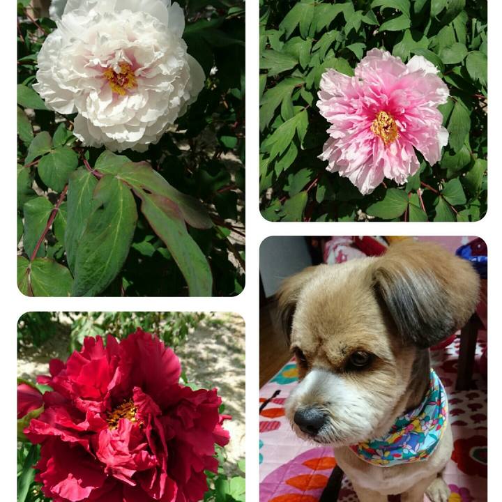 6c135618 7acd 46fa 95f5 5fdf9ee5cdb2 1523354525999