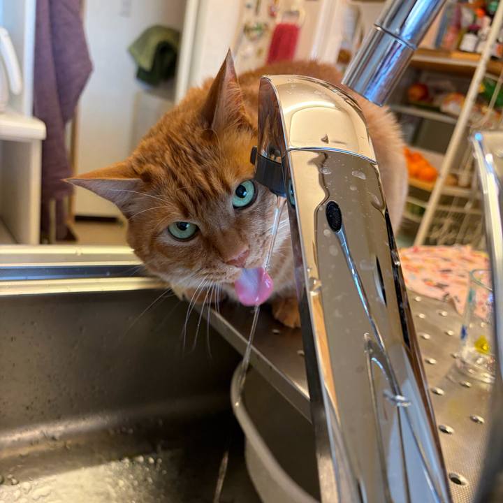 6c1369c9 72fa 4271 b816 5beeb7134bd7 1771625325344