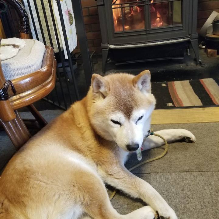 6c1389d1 ed28 4a2f a5b4 57b7392ba8b4 1704757376621