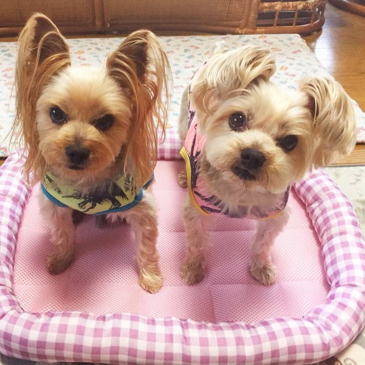 6c13bd6c a180 4cbe 9f77 6691246c98b5 1524735299822