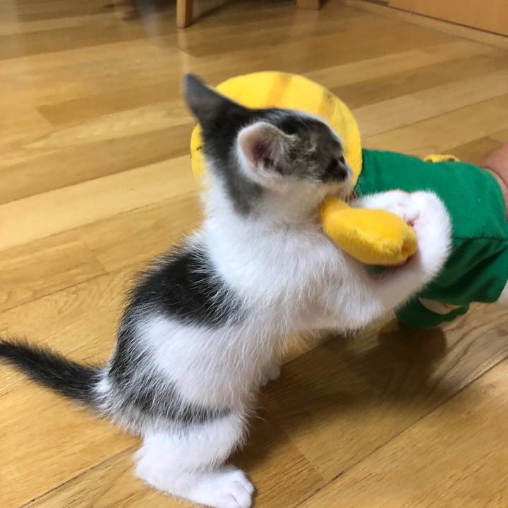 6c13cd3e 20d7 48ae 9eaa f384dffecb5d 1561518394281