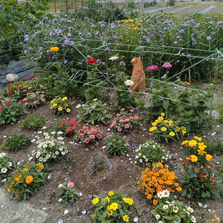 6c13fe35 c1ec 415f 957b f36a392935bd 1718664798803