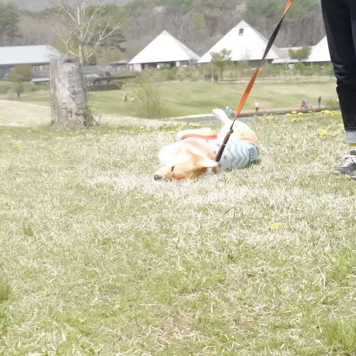 6c1407d4 01b9 4bb4 a4c9 ed83d87af0b3 1525484517688