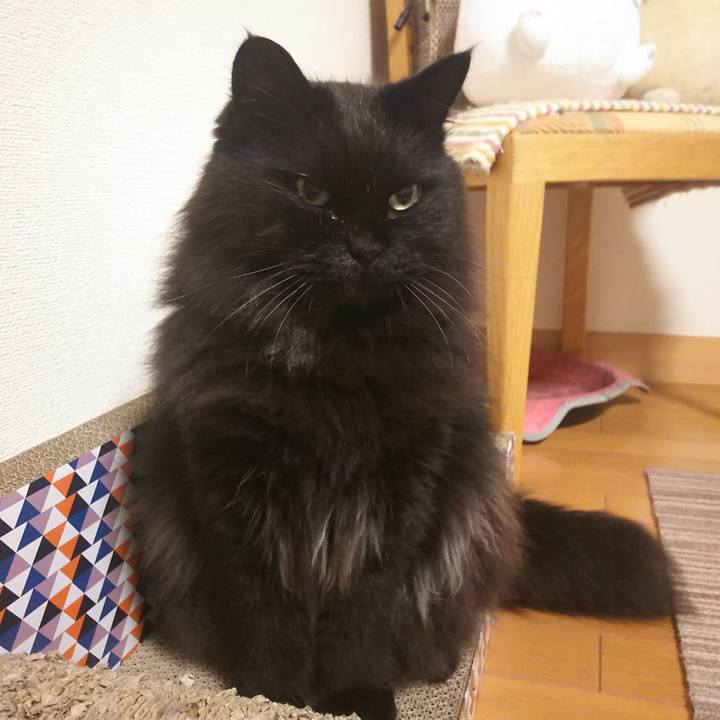 6c142028 d009 4c41 bddd 4d953e15a259 1561204308362