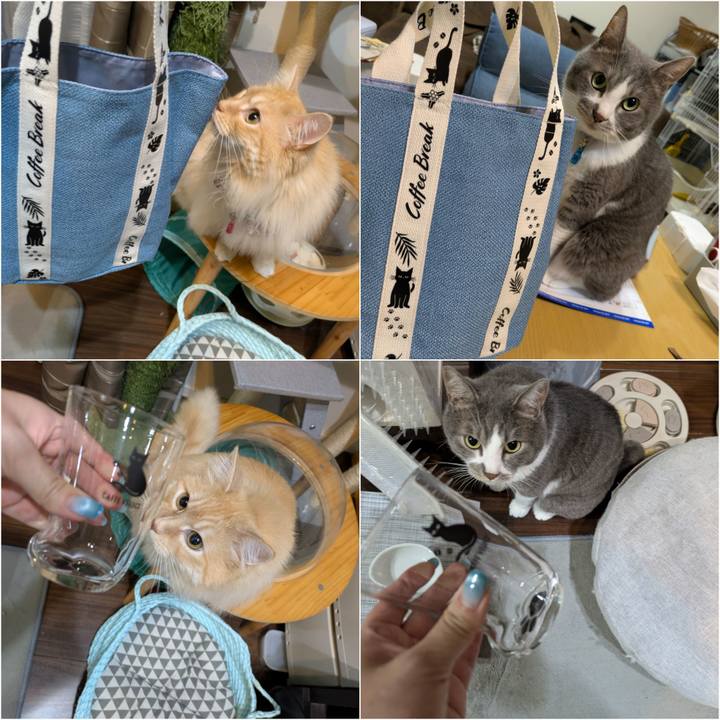 6c142352 11ce 45fc bb88 734ec771c50e 1751544395133