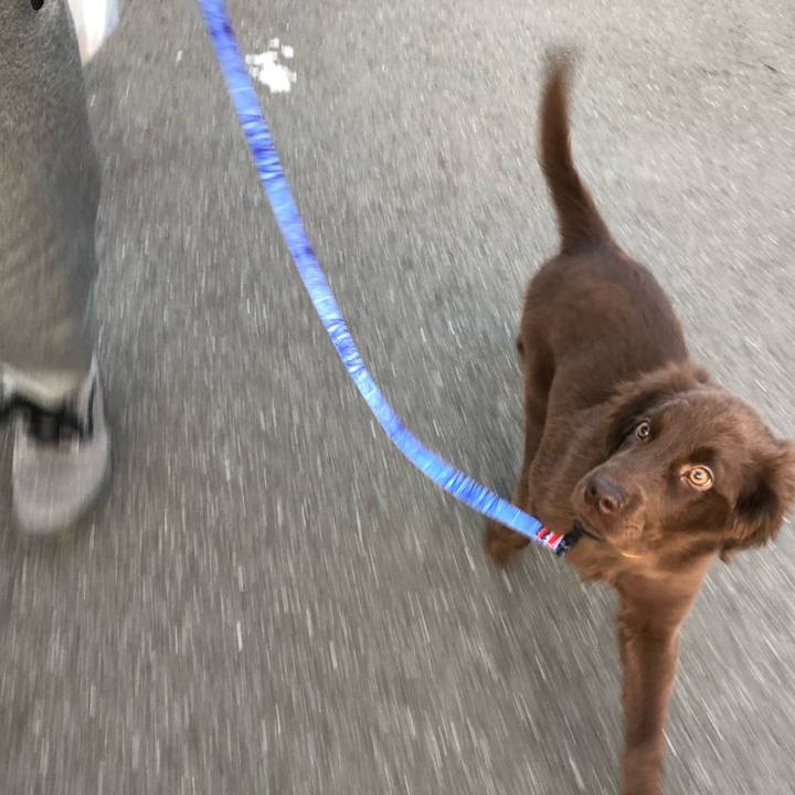 6c144b04 3389 46a2 a26a b6676aa1c836 1552944808455