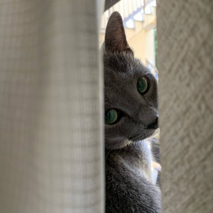 6c145b00 f185 4e49 af43 393b7d337ece 1591854000548