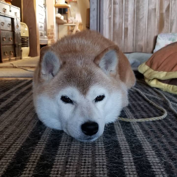 6c147032 87a5 4c3b b94a 04f148003d89 1660177307991