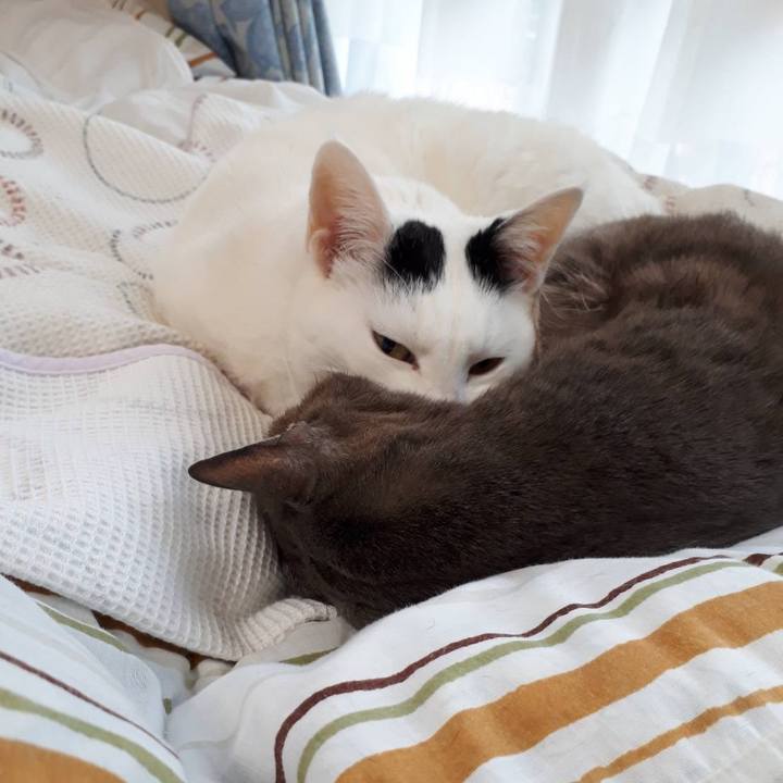 6c148170 8b82 494a a16c cc1ff1850f4d 1643717014166