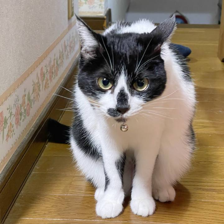 6c14b926 ba12 4dea bfc5 623ef9f9f806 1764802483290