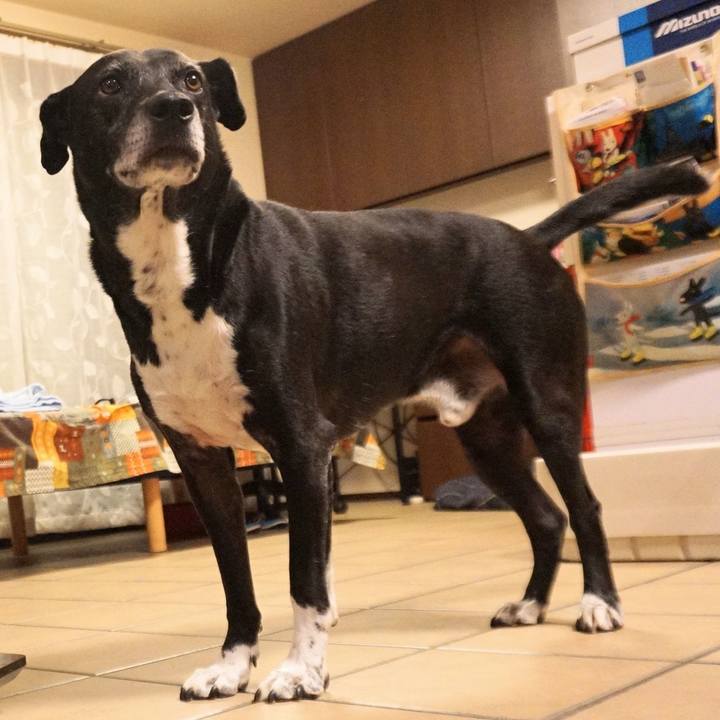 6c14d1a4 39be 41bc 837a 6400a558f590 1755860254010