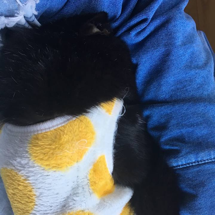 6c14f1b8 0cca 4d72 ab3f cf48fa6907a7 1541308296220