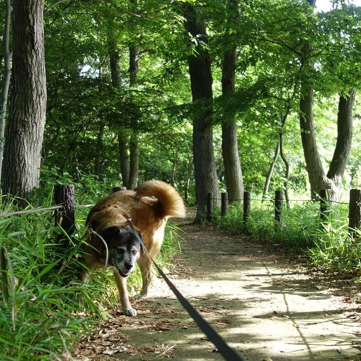 6c14f352 e76e 4034 8174 402fbe60cca6 1526429183079