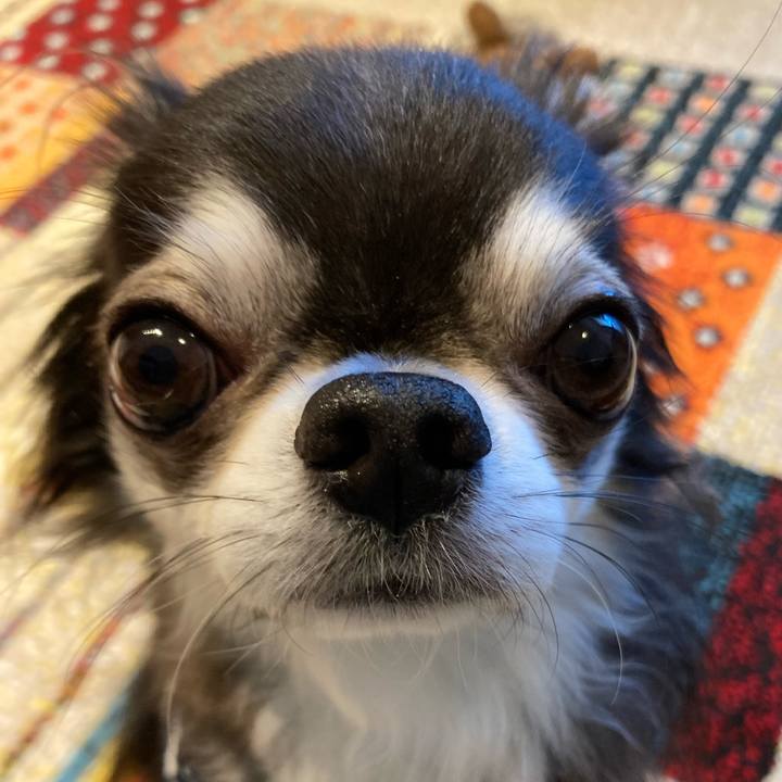 6c14fc7d 9c47 4446 8adf c29b090daaf9 1714263928666