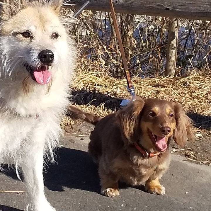 6c152fa2 0b02 411f 8d7c 0c18ed54e657 1546597083446