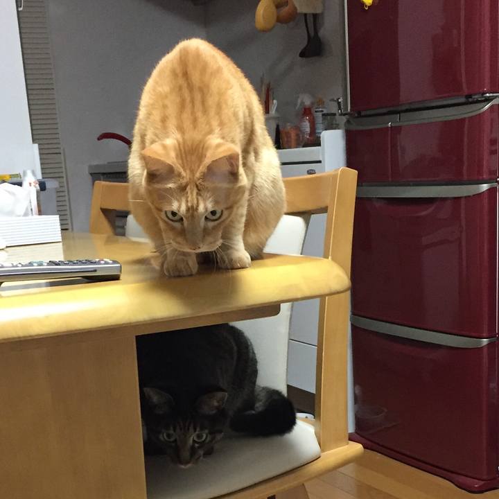 6c153924 2e26 4f23 909c 0256850ab4b4 1537367947958