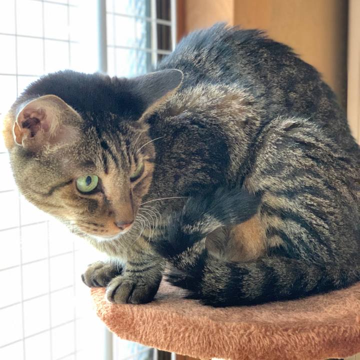 6c154065 0e1d 4be3 9412 987d8acf166e 1602205871572