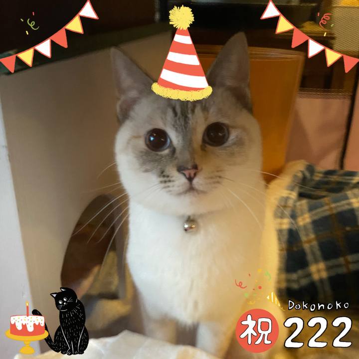 6c15432d b553 4ca8 9987 c29d67a03f52 1645519790075