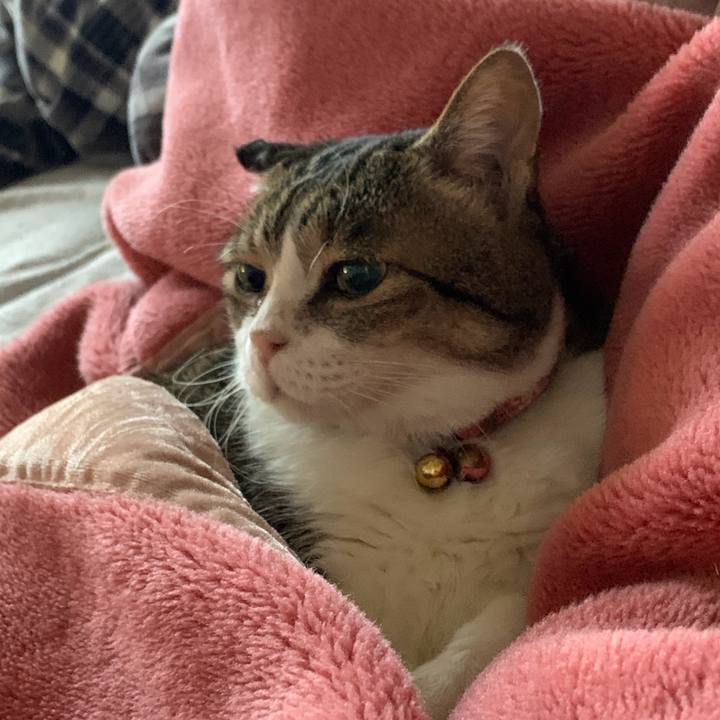 6c154958 ee47 4757 b3f2 e16e62ed629e 1769123866280