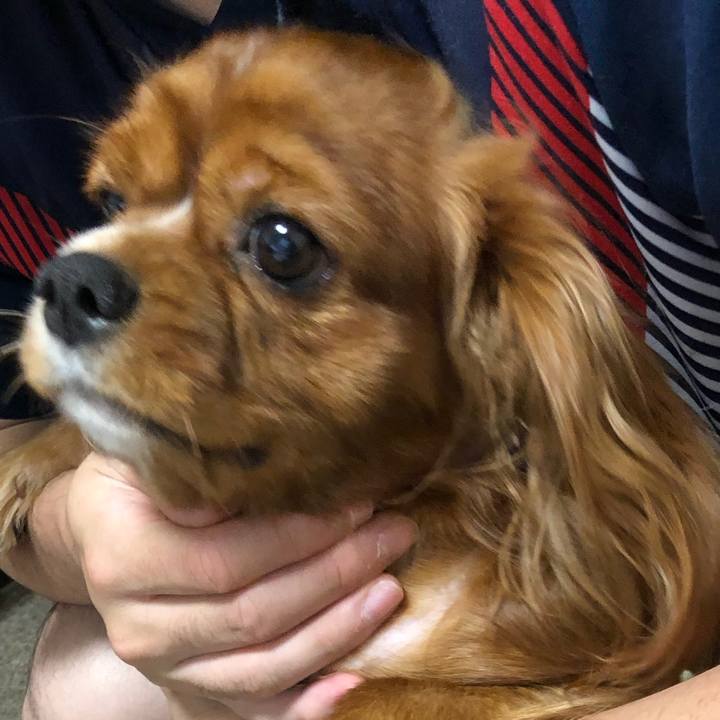 6c159be6 3555 4cf3 9181 cf206d87cd3d 1568326870075