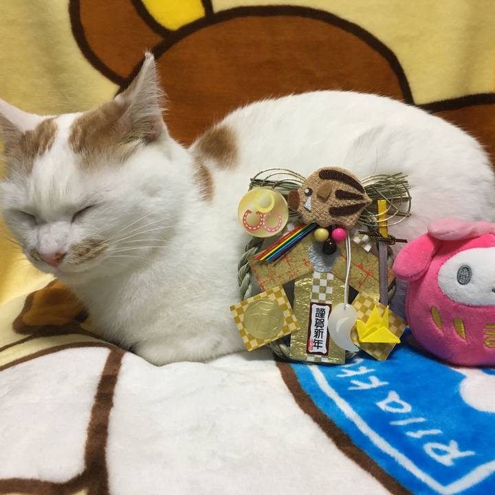 6c15b627 3ef1 4d27 9b0d faa7b494465b 1546334412288