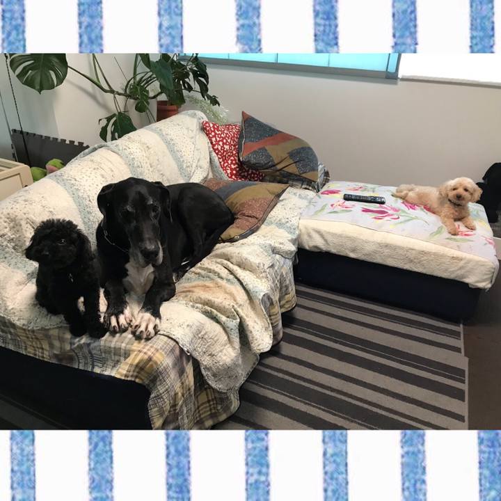 6c15be58 4b77 4ec9 bfa7 be2d10721369 1534373494616