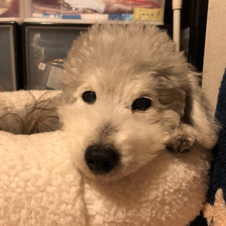 6c15eb05 5794 4b7d 9ba2 0f66bd1487c7 1584023596357