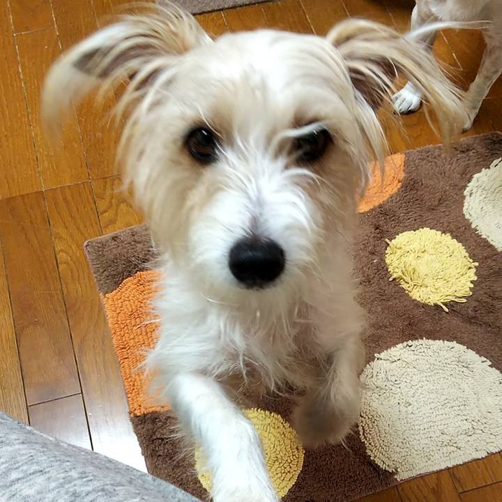 6c15eb08 c920 4782 b0e0 184851230048 1552342257372