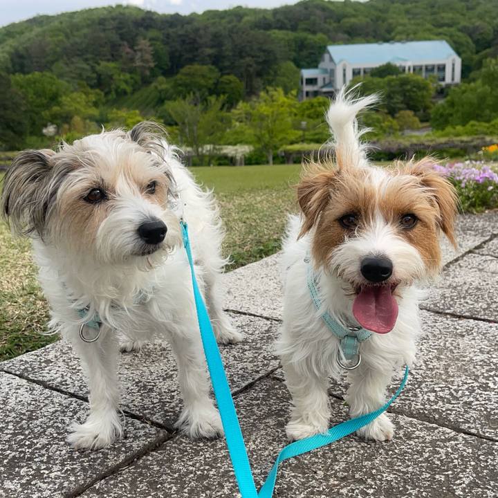 6c1633d1 483d 441f b854 3c89c46a8a87 1777070644993