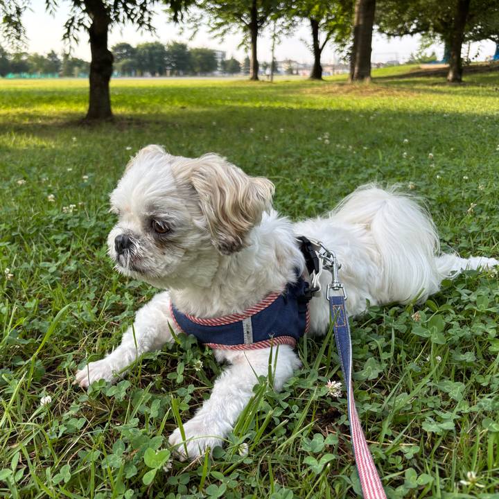 6c166664 b68b 48cb 9b3a 9d95d5356bad 1751924851362