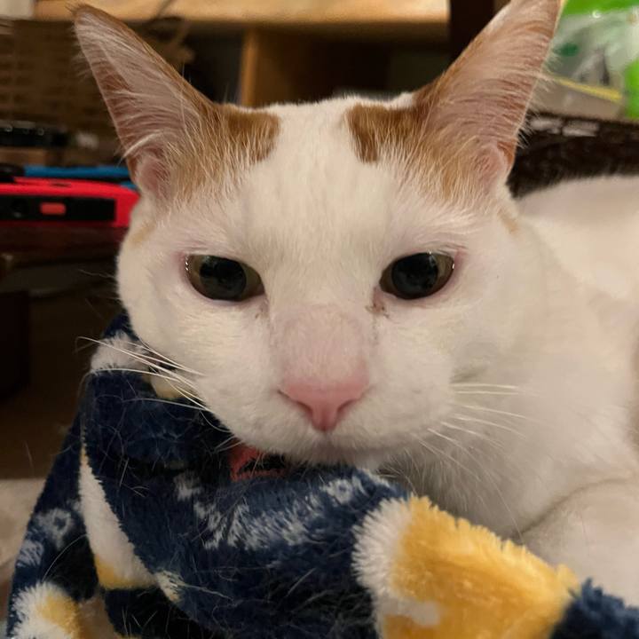 6c16c123 f9ec 4fc7 a478 f178a16adf17 1774044195796