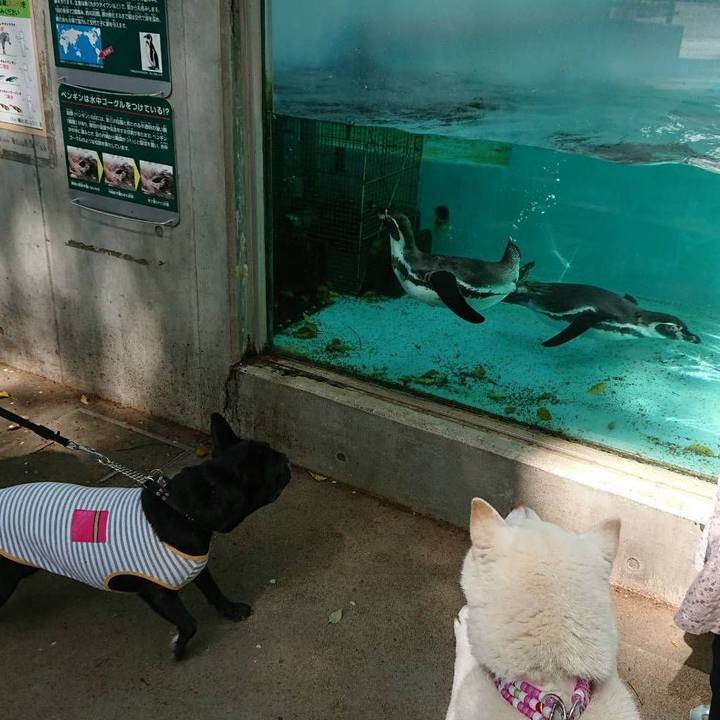 6c16cf55 8148 4f34 b598 68e0e164f155 1617781252789