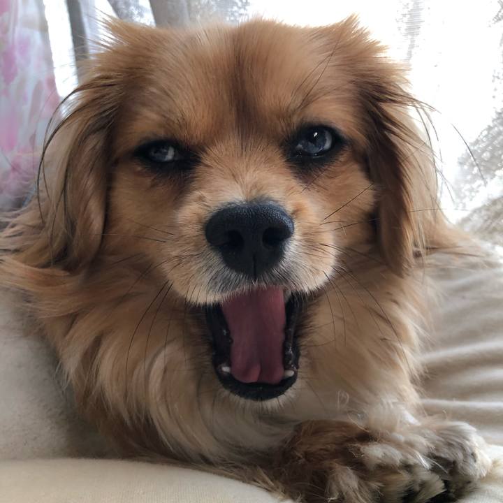 6c16e043 5115 490a a68e 1feef56fdb9e 1554594425856