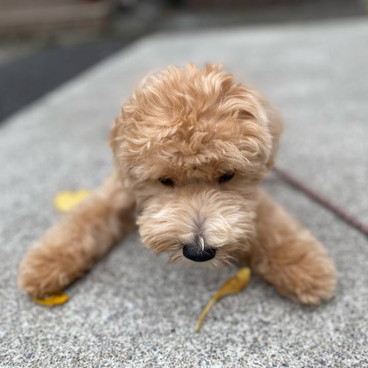 6c171956 5111 4544 a391 514a5edc9b26 1756978467894