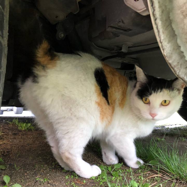 6c1740db 396a 4d33 ad11 e8a75dcc04c1 1616969042207